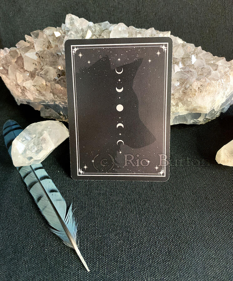 The Backside of the Cards